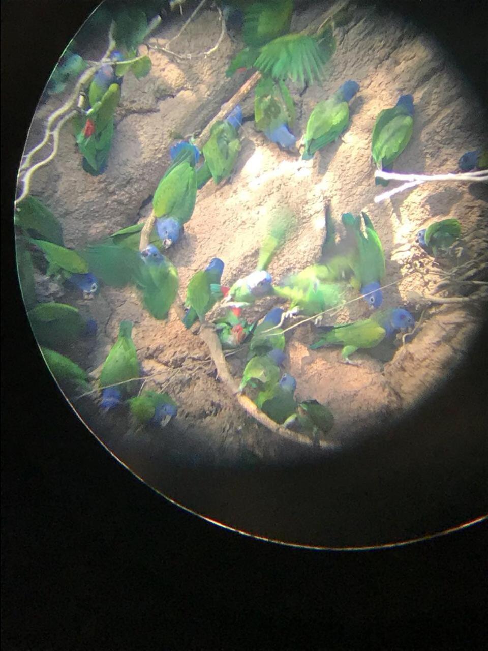 Hacienda Herrera Tambopata Puerto Maldonado Dış mekan fotoğraf